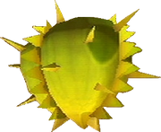 Fruto Acuoso SS