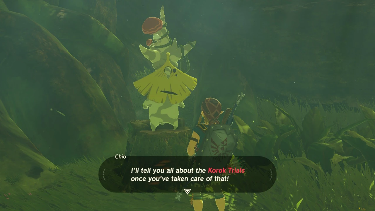 The Korok Trials Zeldapedia Fandom