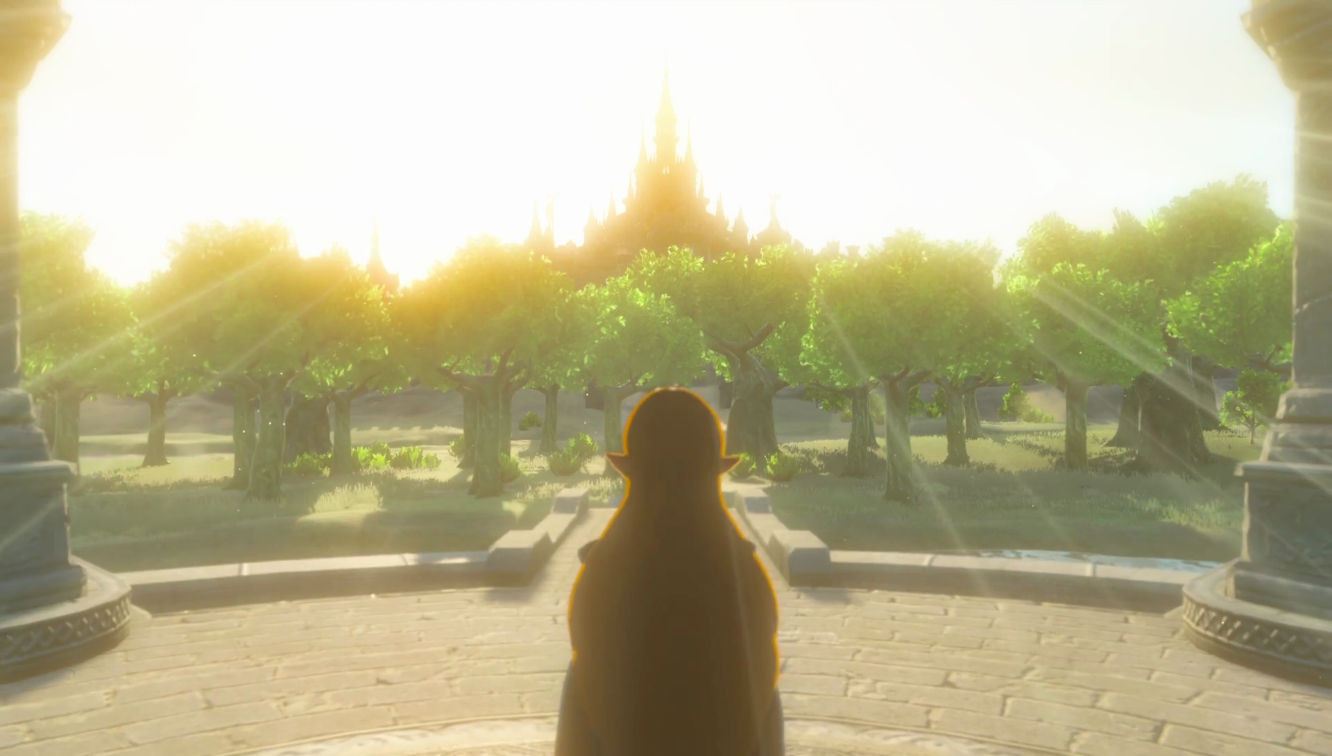 Princesse Zelda Zeldawiki Fandom