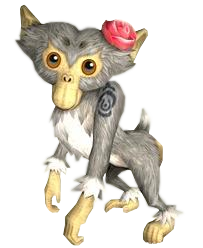 Femelle singe