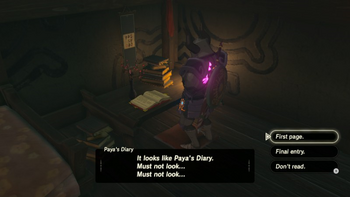Paya's Diary | Zeldapedia | FANDOM powered by Wikia
