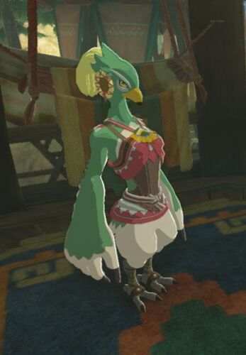 Breath Of The Wild Dark Link >> Amali | Zeldapedia | FANDOM powered by Wikia Breath Of The Wild Dark Link >> Amali | Zeldapedia | FANDOM powered by Wikia