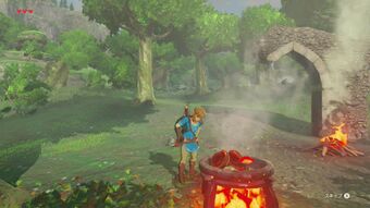 Campfire Zeldapedia Fandom