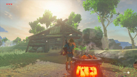 Link Cuisinant BOTW