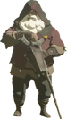 Anciano BotW