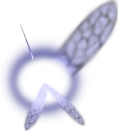 Navi