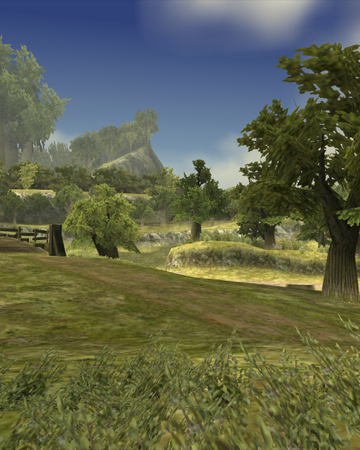 Hyrule Field Zeldapedia Fandom