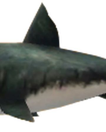 savage shark