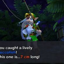 Cuccofish Zeldapedia Fandom