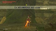 Tunique verte BOTW