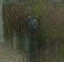 Vines (Twilight Princess)