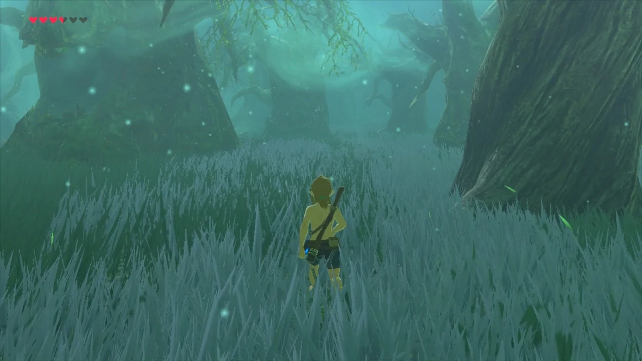 Imagen Link Bosque Perdido BOTW.jpg The Legend of Zelda Wiki