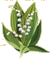 Les brins de Muguet