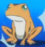 Frog1