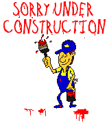 Construction paint