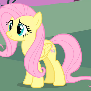 Fluttershy My Little Pony Zhu Zhu Pets Fanon Wiki Fandom