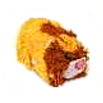 Chewy