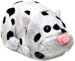 Moo