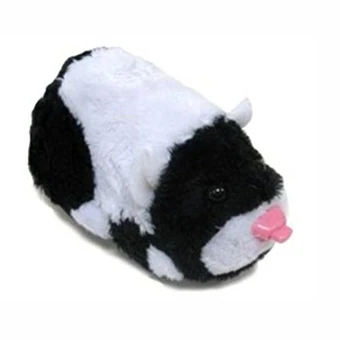 hills prescription cd