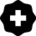 Badge-VSTF