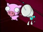 Rubber Piggy