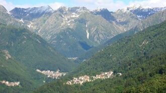 Valle cervo