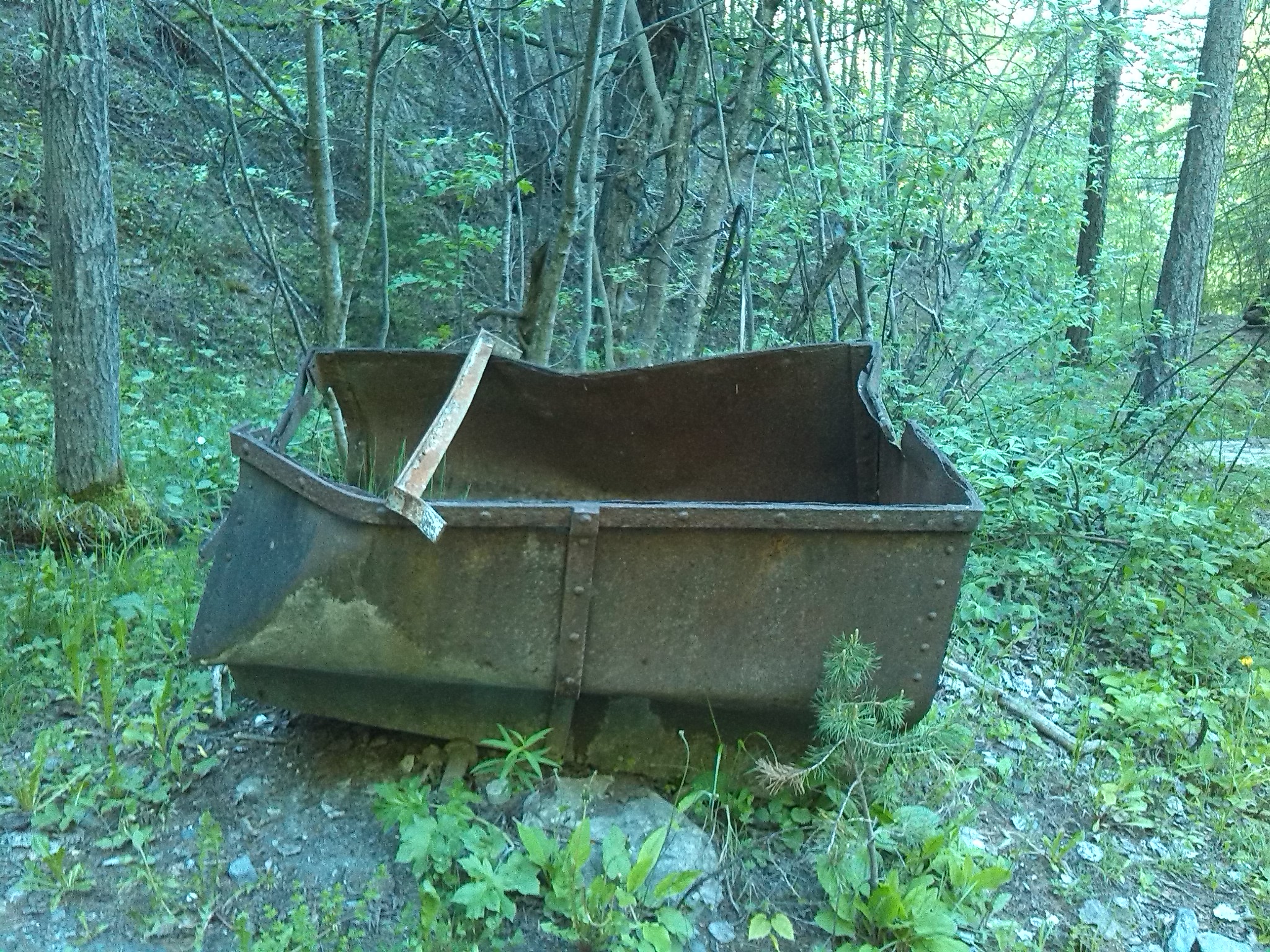 Wagonnet laissé sur place (Villar-St-Pancrace)