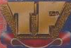 Trasnfigher-logo