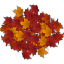 Leaf Pile