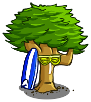 Beech Tree