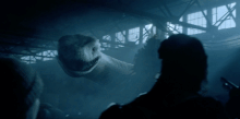 Zoosnake2