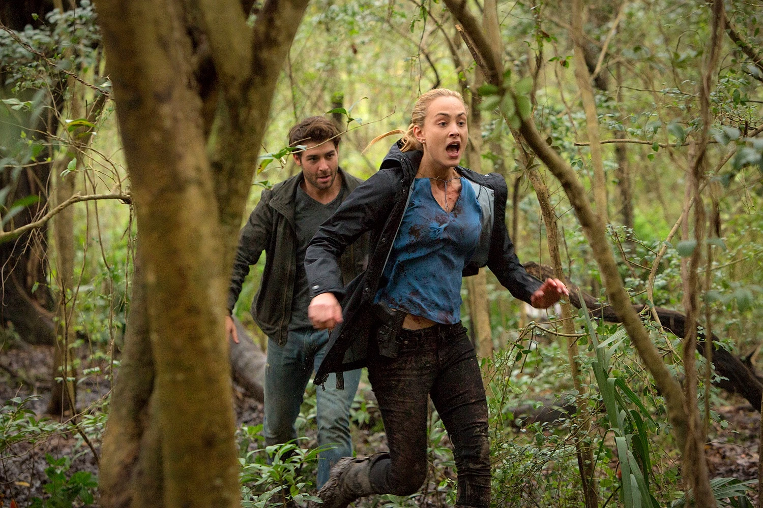 Pack Mentality Zoo (TV Series) Wikia FANDOM powered by Wikia