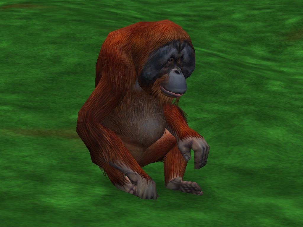 zoo tycoon 2 download wiki zoo tycoon 2 download wiki