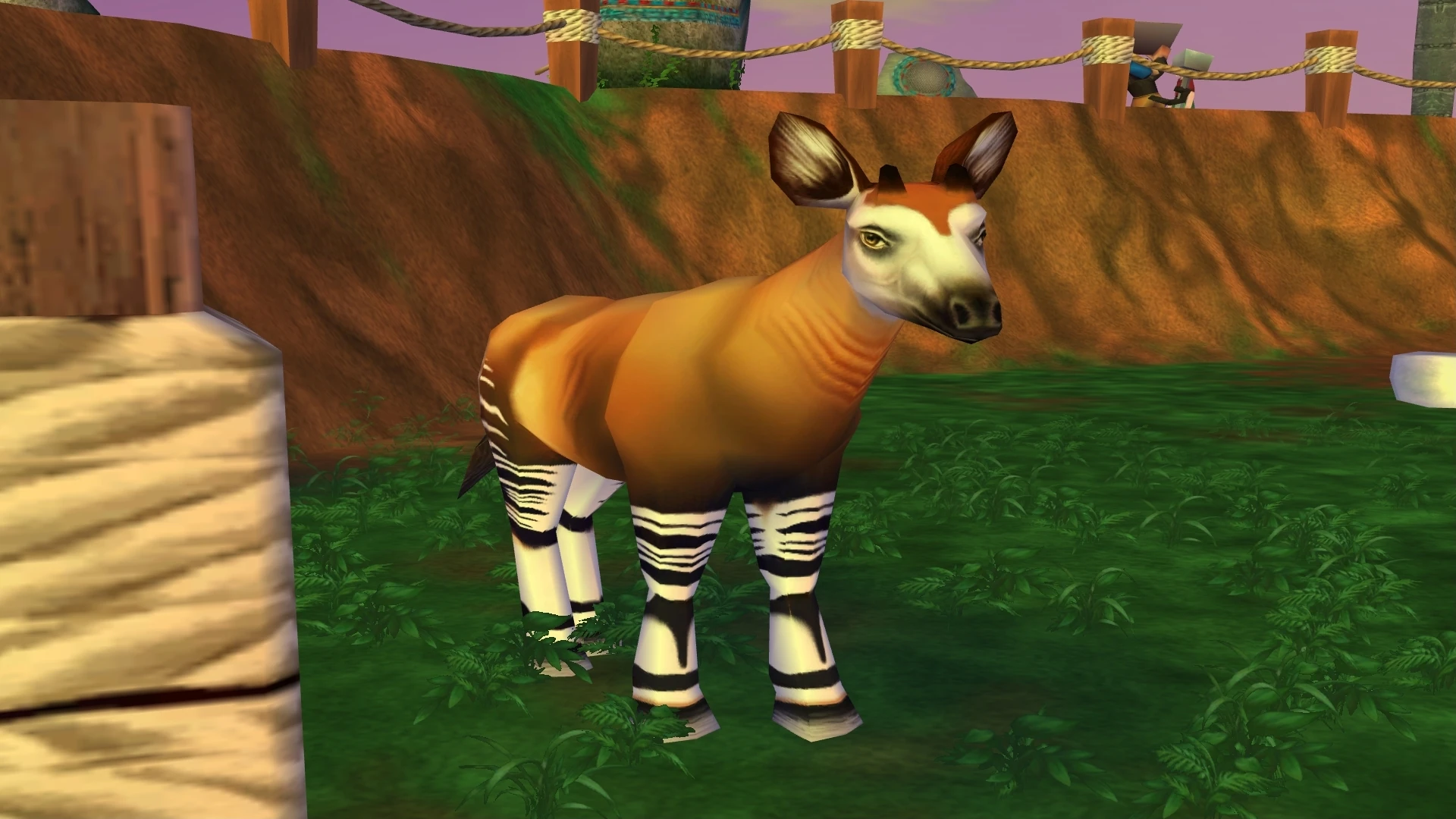 Okapi Zoo Tycoon 2 Wikia Fandom