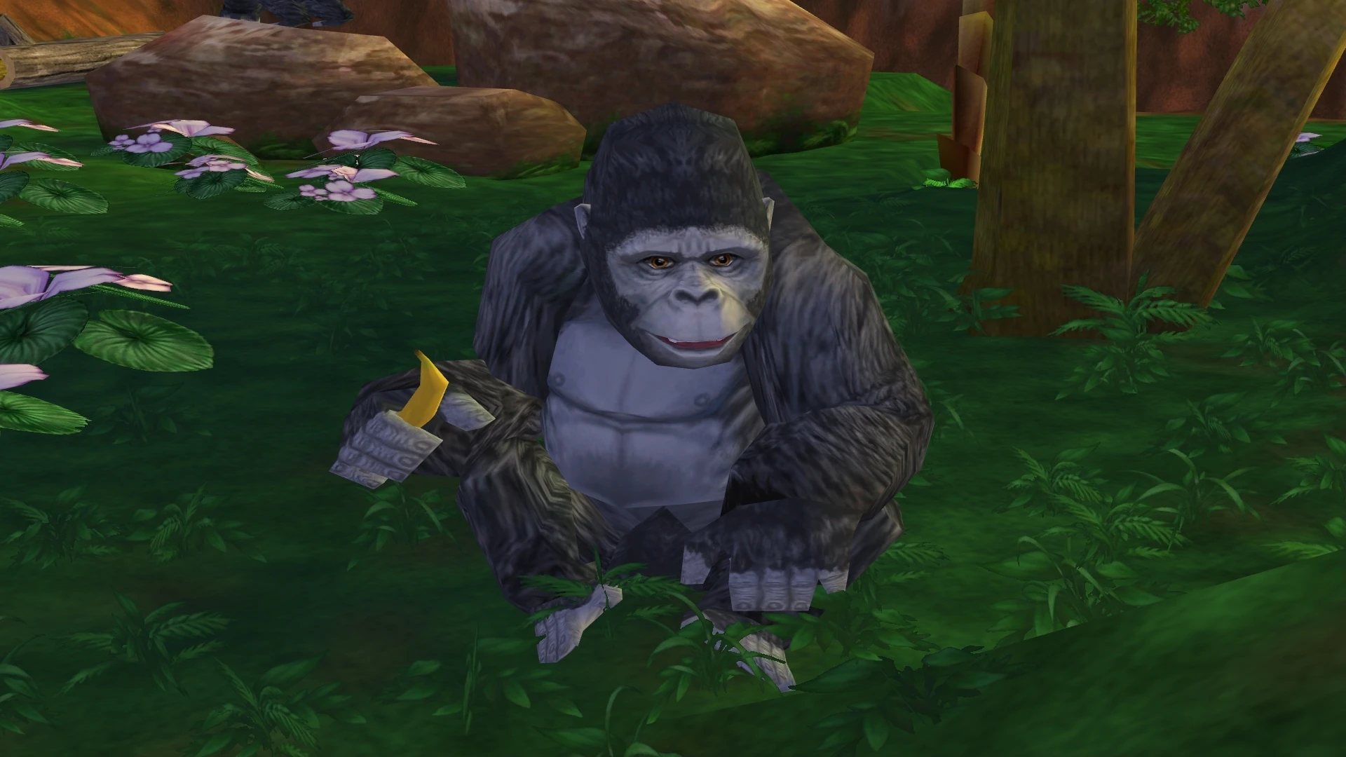 Mountain Gorilla Zoo Tycoon 2 Wikia Fandom