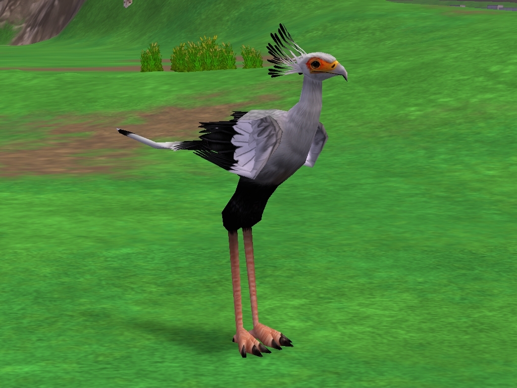 zoo tycoon 2 download cockatiel zoo tycoon 2 download cockatiel