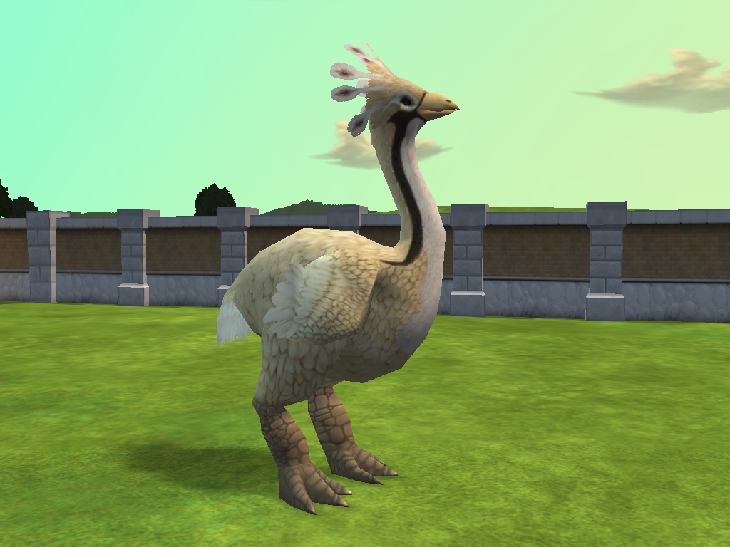 Elephant Bird | Zoo Tycoon 2 Wikia | FANDOM powered by Wikia