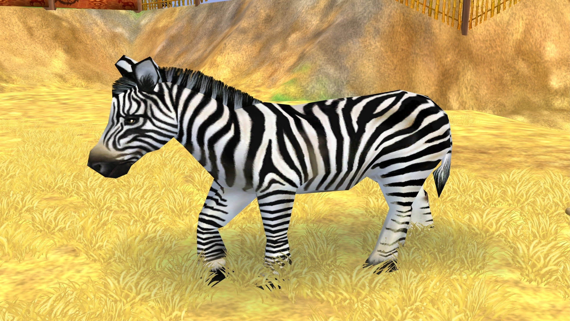 animal pack zebra