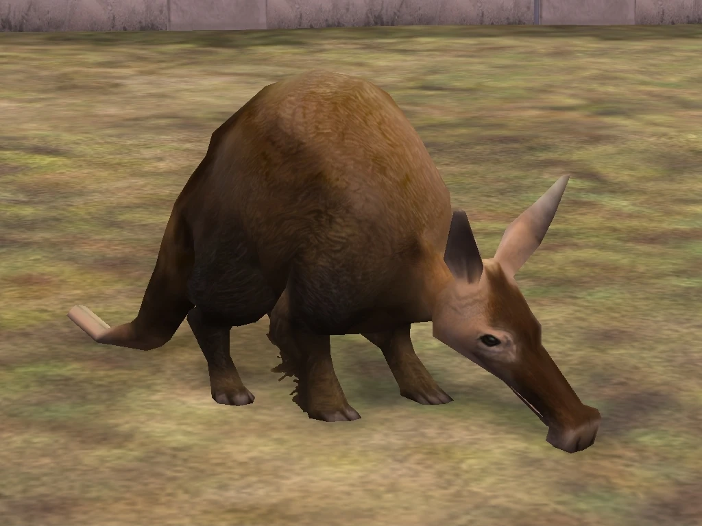 Aardvark Zoo Tycoon 2 Wikia Fandom
