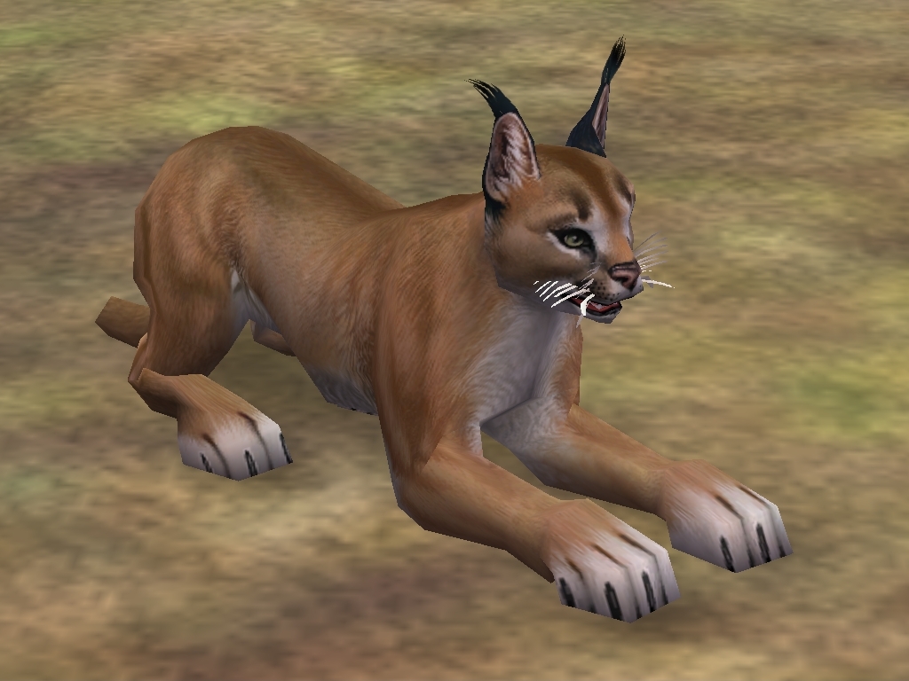 image caracal jpg zoo tycoon 2 wikia fandom powered by wikia caracal size