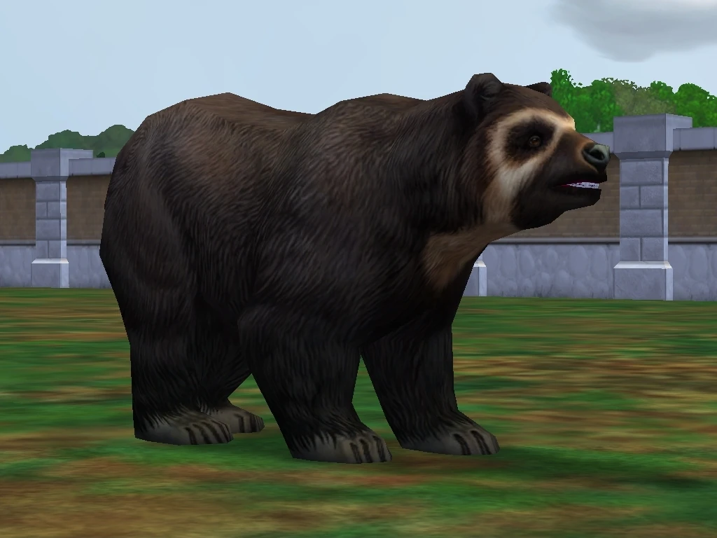 Image Spectacled Bear.jpg Zoo Tycoon 2 Wikia FANDOM powered by Wikia