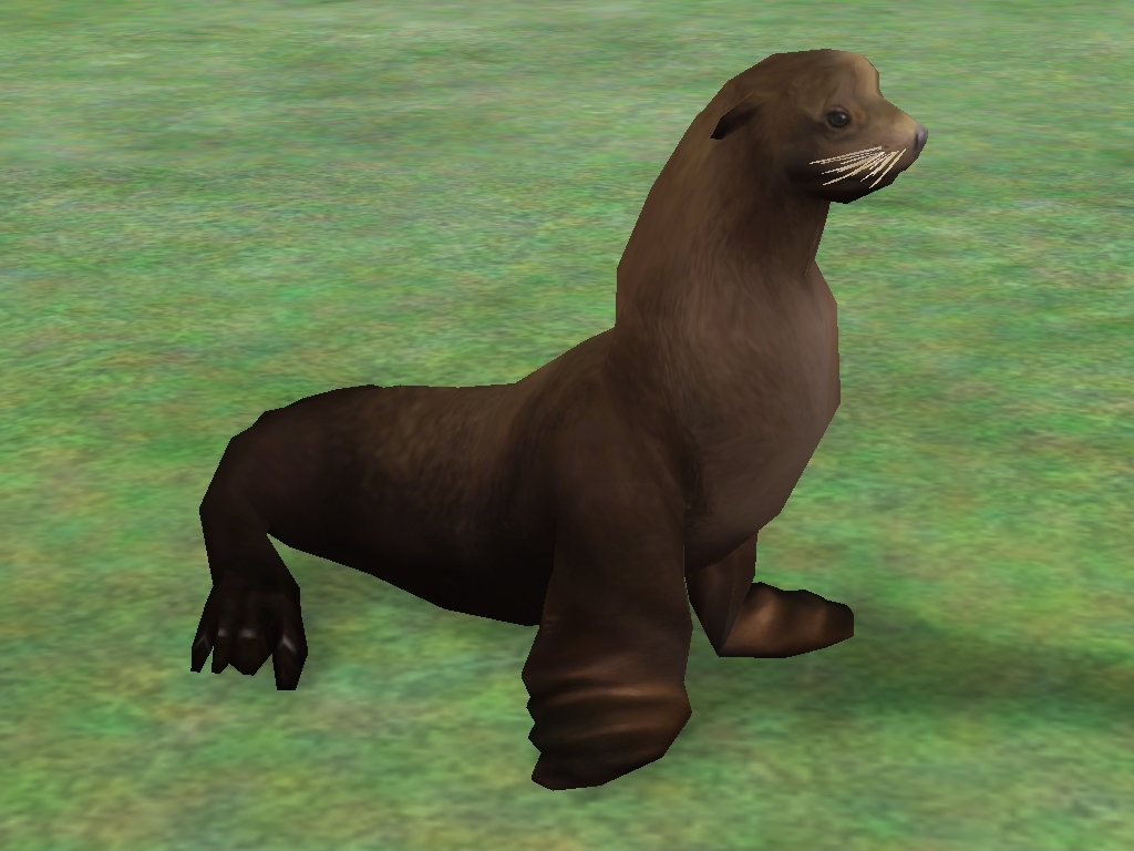 California Sea Lion | Zoo Tycoon 2 Wikia | Fandom