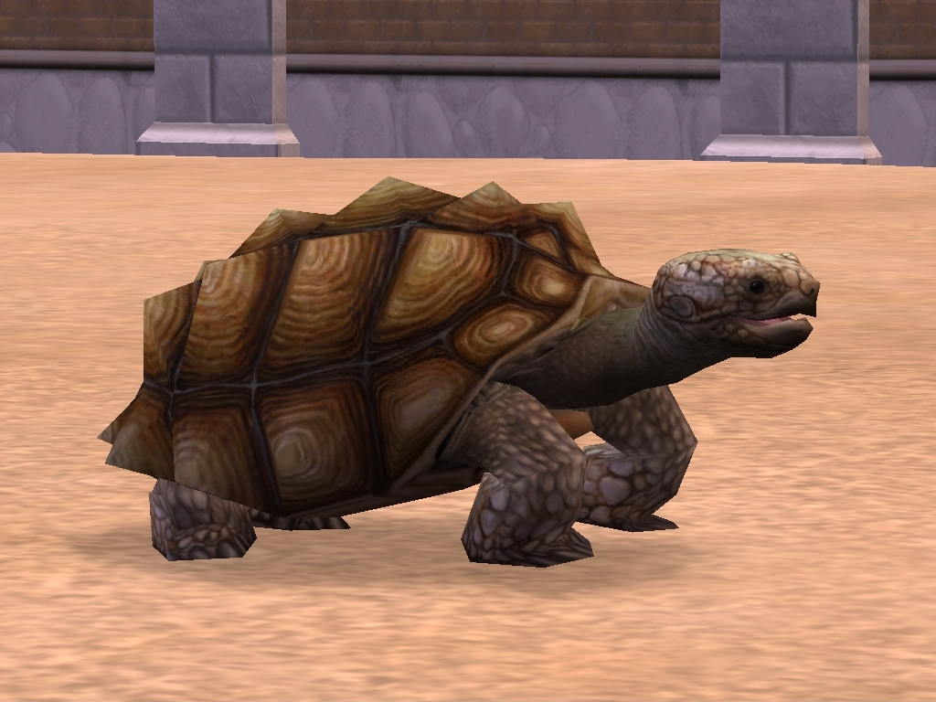 African Spurred Tortoise | Zoo Tycoon 2 Wikia | Fandom