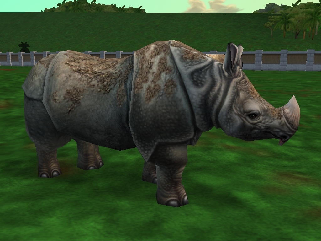 picture of javan rhinoceros