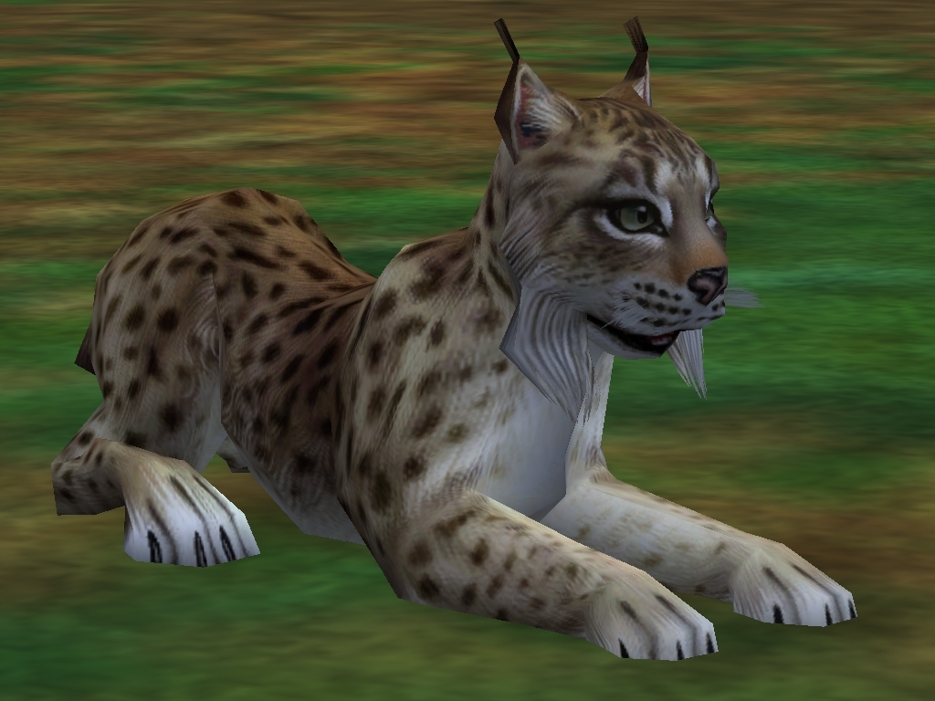 Spanish Lynx | Zoo Tycoon 2 Wikia | FANDOM powered by Wikia