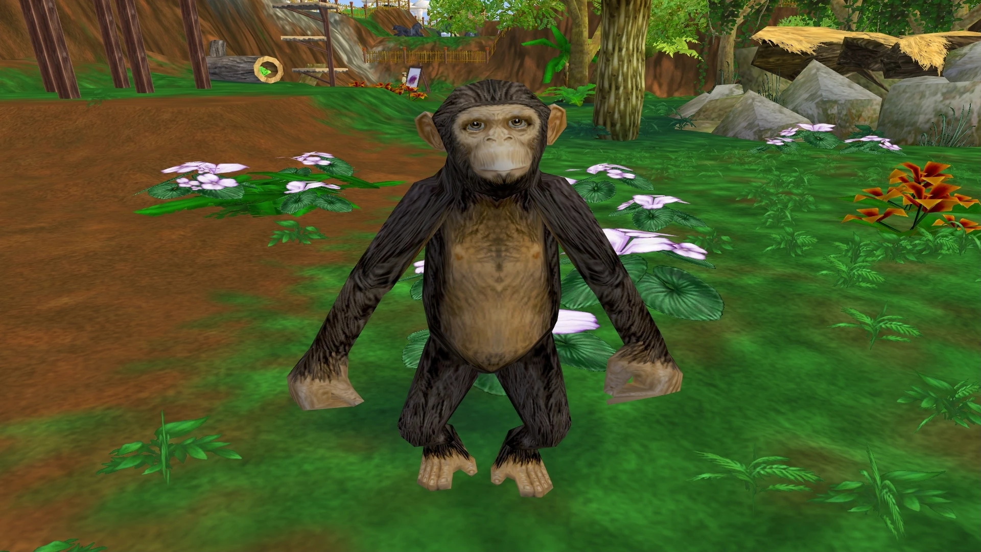 Chimpanzee Zoo Tycoon 2 Wikia Fandom