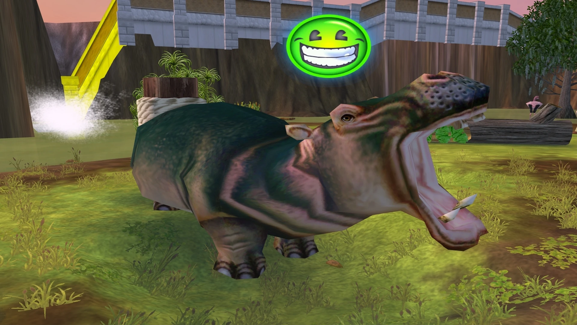 Hippopotamus | Zoo Tycoon 2 Wikia | Fandom
