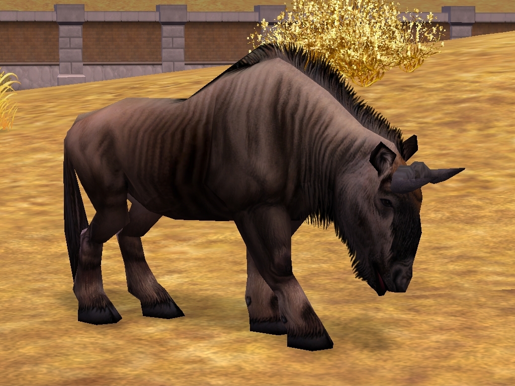zoo tycoon 2 dama gazelle zoo tycoon 2 dama gazelle