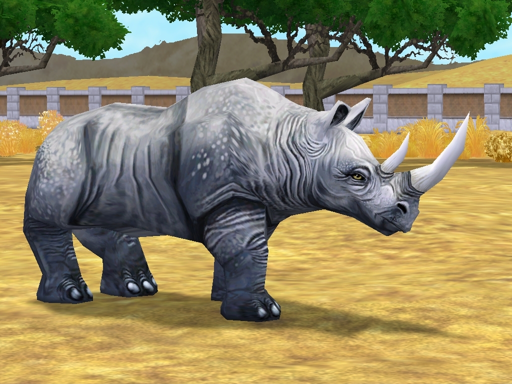 Black Rhinoceros | Zoo tycoon movie Wikia | FANDOM powered by Wikia