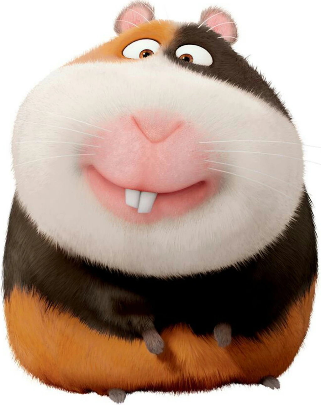 Guinea Pig Zoo tycoon movie Wikia Fandom